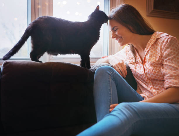 Nothing more true than a cat’s love Shot of an attractive young woman relaxing on the sofa at home and bonding with her cat cat sniff stock pictures, royalty-free photos & images