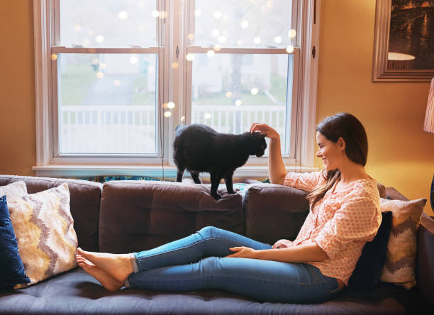 istock Happiness is having a cat in the home 872828644