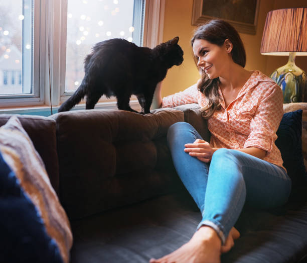 istock It’s a cat’s world and we’re all living in it 872828658
