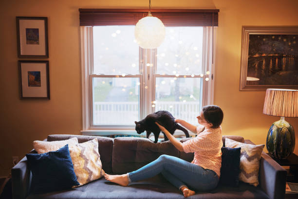 istock My furry friend till the end 872828670