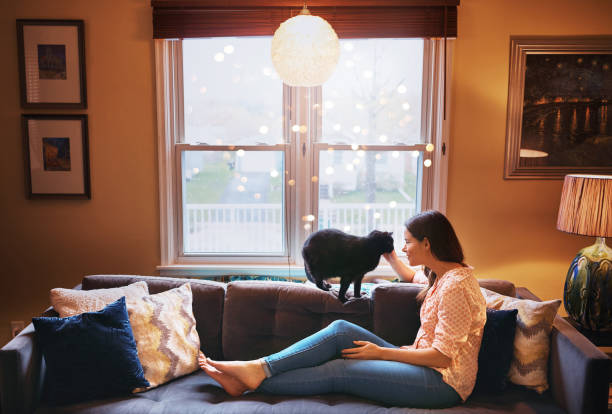istock Cat love is pretty pawsome 872828680