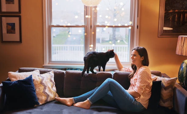 istock The time to relax is meow 872828692