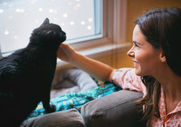 istock Her best friend has whiskers 872828718