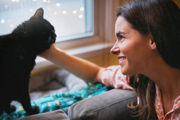 istock Her heart belongs to her kitty 872828728