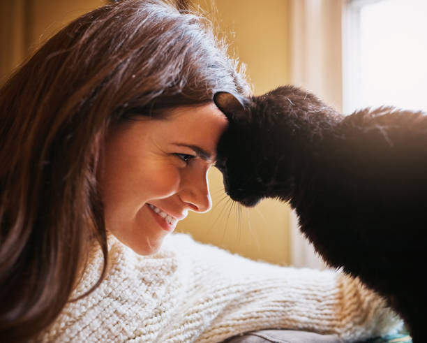 istock It’s not a home without fur-kids 872828764