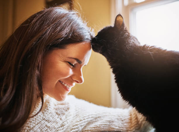 Love at it’s purest Shot of an attractive young woman bonding with her cat at home cat sniff stock pictures, royalty-free photos & images