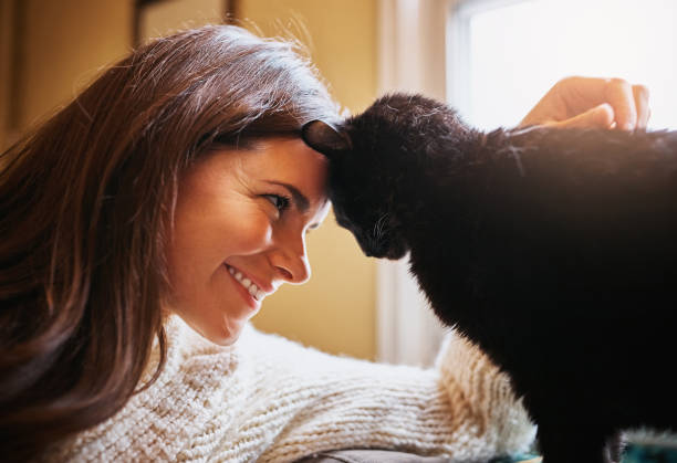 istock I’d spend all my nine lives with you 872828820
