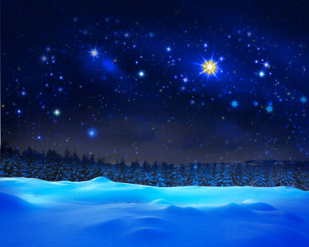 istock Christmas sky and winter fir trees 872829008