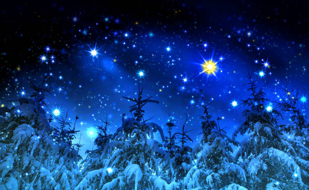 Christmas sky and winter forest Winter landscape with snow covered fir trees and stars.Christmas background. schmuckkörbchen stock pictures, royalty-free photos & images