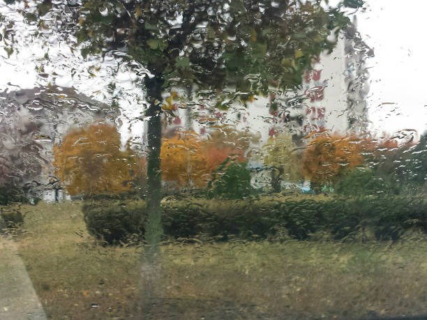 istock Autumn in the city 872832024