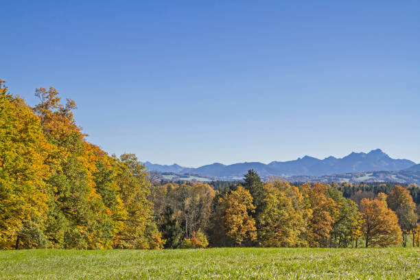 istock Autumn landscape in Upper Bavaria 872840850