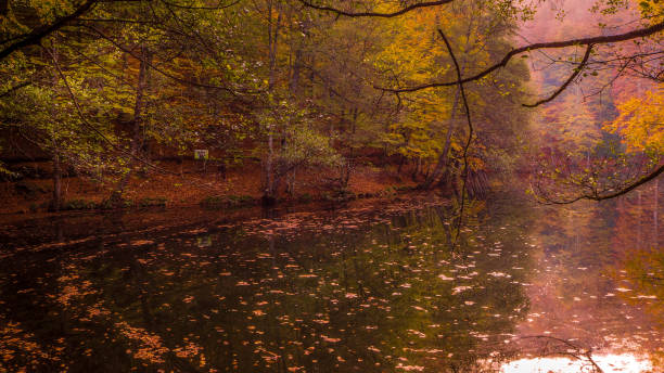 istock Yedigoller National Park in Autumn 872845208