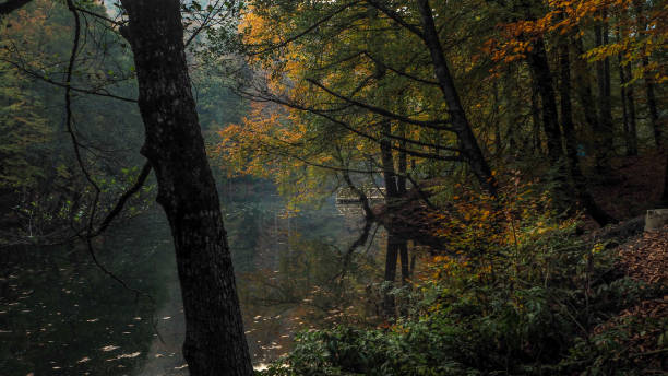istock Yedigoller National Park in Autumn 872845236