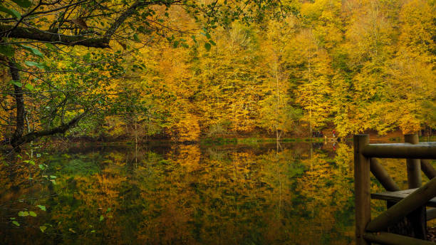 istock Yedigoller National Park in Autumn 872846194