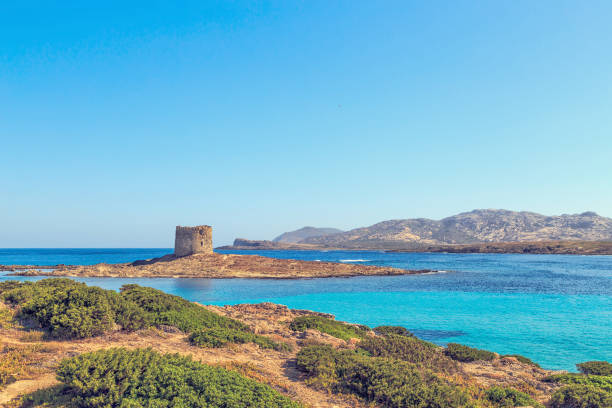 istock View of La Pelosa beach 872852788