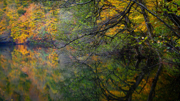 istock Yedigoller National Park in Autumn 872858512