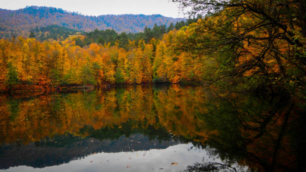 istock Yedigoller National Park in Autumn 872858618