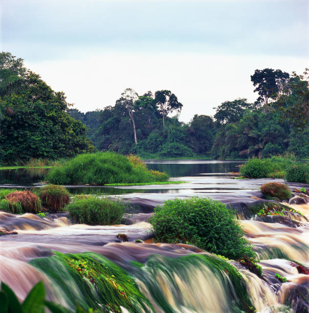 waterfall waterfall in the jungle of gabon gabon stock pictures, royalty-free photos & images