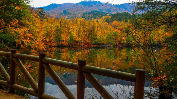 istock Yedigoller National Park in Autumn 872862702