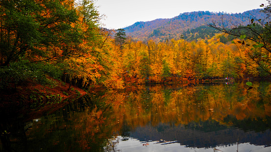 Yedigoller National Park in Autumn