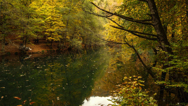 istock Yedigoller National Park in Autumn 872868108