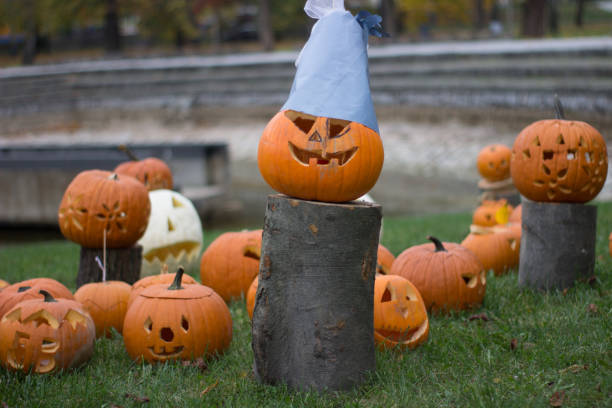 istock pumpkins halloween exhibition at a park 872873482