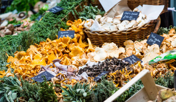 istock Mushrooms in Farmers Market 872873780