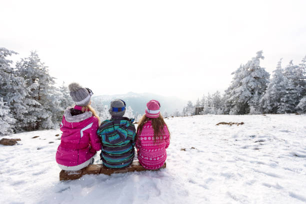 Children sitting on ski terrain, back view Group of tree children sitting on ski terrain, back view kids winter coat stock pictures, royalty-free photos & images