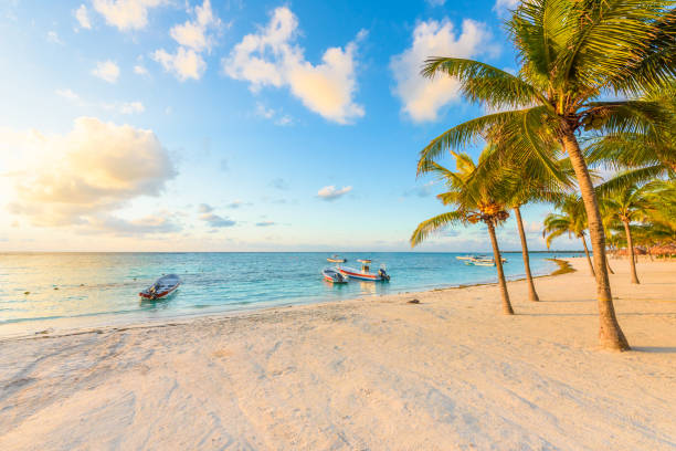 アクマル ビーチ、パラダイス ベイ リビエラ マヤ、メキシコのカリブ海の海岸の日の出 - cancun ストックフォトと画像