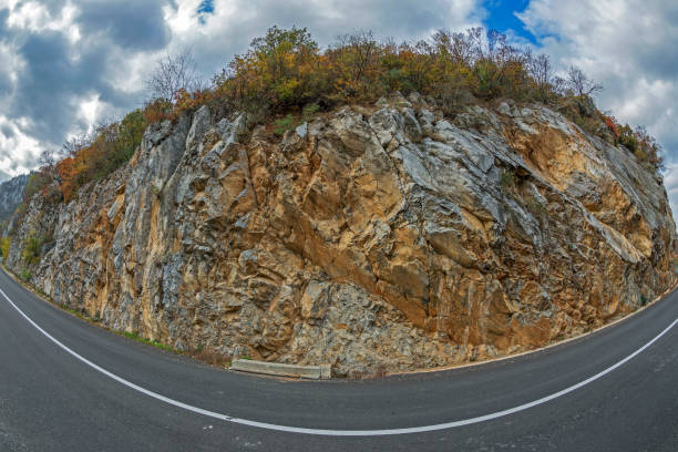 istock Rock wall background with autumn vegetation 872885360