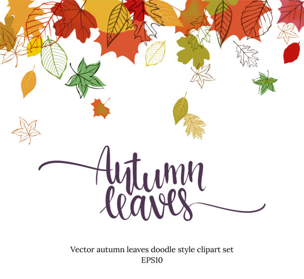 illustrazioni stock, clip art, cartoni animati e icone di tendenza di design delle foglie cadenti autunnali - autunno