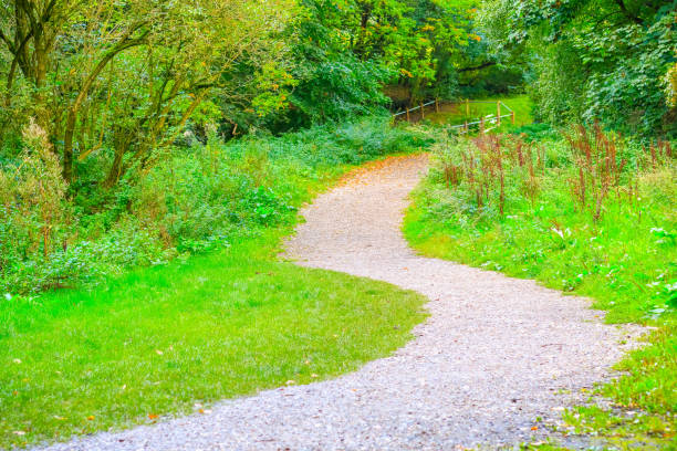 Walking trail in Hampstead Heath of London