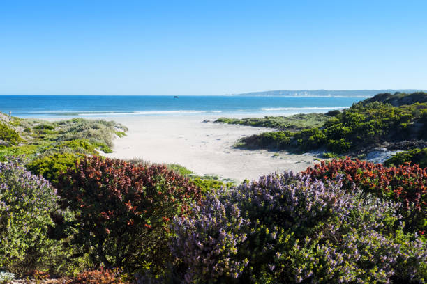 istock Coastline in  Paternoster, South Africa 872895438
