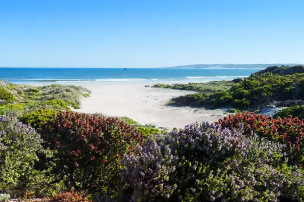 Photo of Coastline in  Paternoster, South Africa