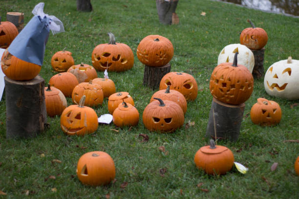 istock pumpkins halloween exhibition at a park 872896390