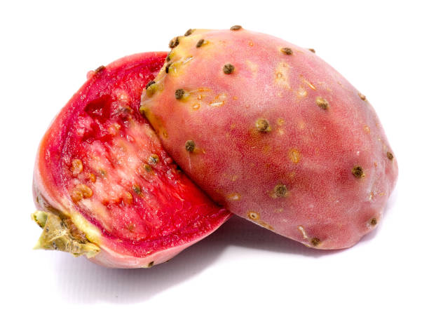 Opuntia (Prickly pear) isolated stock photo