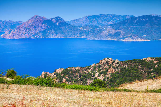 istock Summer panoramic coastal landscape of Corsica 872899696