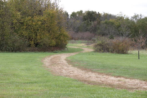 istock The trail near lake 872902932