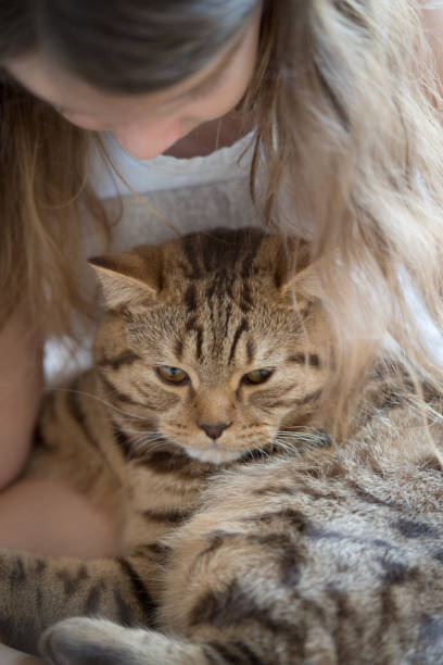 istock Little girl with cat 872903048