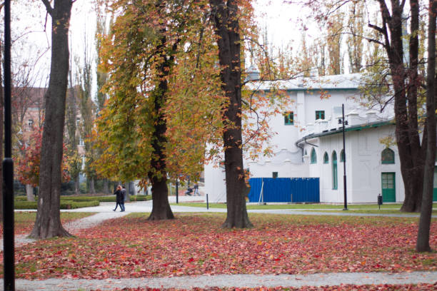 istock autumn scenery park peple walking at a park 872904548