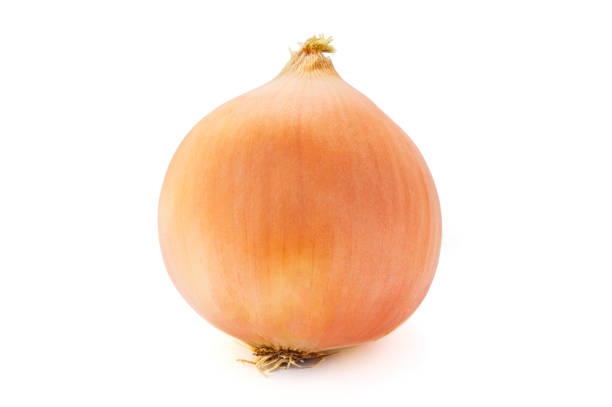 istock Ripe onion isolated on white background 872905374