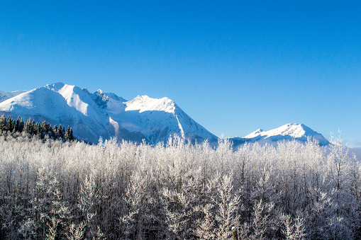 Blue sky and snow covered mountains in northern British Columbia.