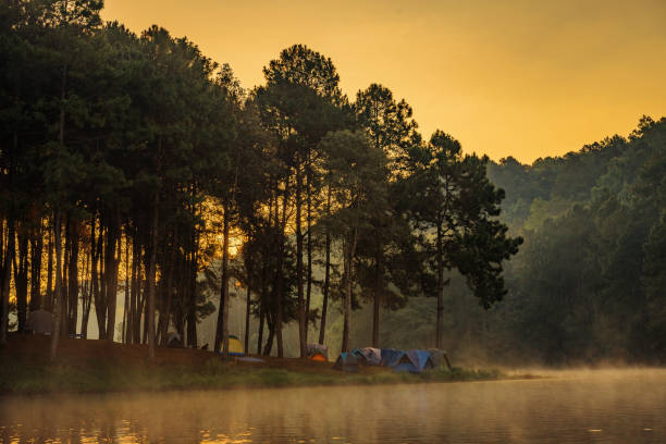 istock landscape with fog in the morning 872908414