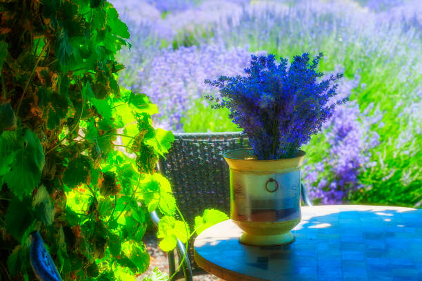 istock Lavender in vase on garden table 872911092