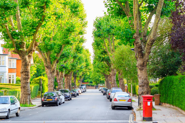 Street lined with trees in West Hampstead of London View of street lined with trees in West Hampstead of London tree lined driveway stock pictures, royalty-free photos & images