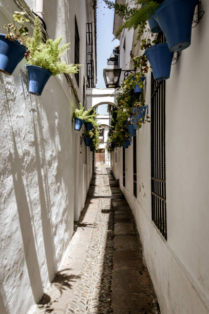 istock Cordoba, Spain street scene 872927062