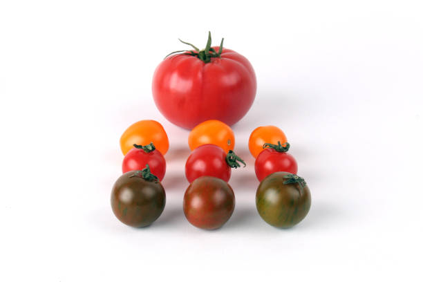istock Colorful Group of Cherry Tomatoes 872931416