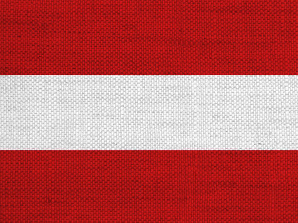 istock Textured flag of Austria in nice colors 872937750