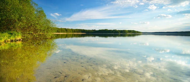 istock Peaceful Calm Lake surrounded by Forest, Clouds reflecting 872938700