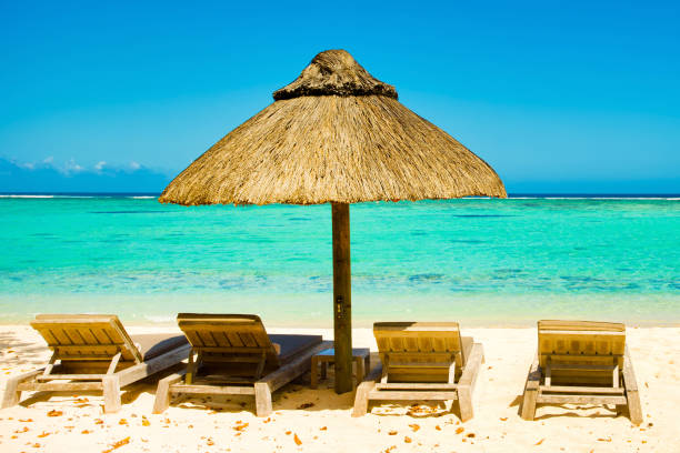 istock Beautiful sandy beach with sunbeds and umbrellas in Indian ocean 872938976